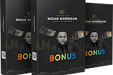 Introduction to Partnering with Misan
