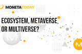 Ecosystem, Metaverse or Multiverse?