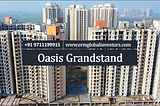 Oasis Grandstand: The Best Place to Watch the Game with Friends and Family