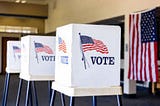 Why Don’t We Steal the Election?