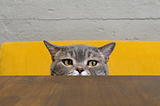 A grey and black tabby cat peeks over a dark wooden table, you can only see their pointy ears, yellow eyes and tip of their pink nose. Behind them is a yellow chair back and a grey painted brick wall beyond that.