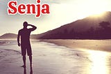 Review Novel “Menepis Senja (2022)” Kaya YN Widyatno