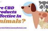 Are CBD Products Effective In Animals?