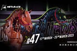 MetaRace Horse Racing Weekly News 47