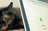 A cat behind a computer screen with the Swash browser extension page open