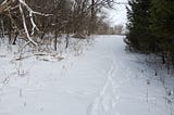 In the wintery forest, between evergreen and deciduous trees a snow-filled path with footprints.