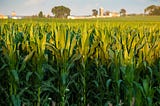 New Corporate Welfare Farm Bill Stuffed with Poison Pills