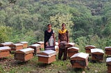 Sweetening India, One Bee Box at a Time