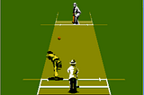 Which was the first ever cricket video game?