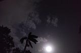 Midnight Chai and Moonlit Verses