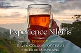 Experience Nilgiris : EP 01 : Seven Colours of Tea at the Blue Mountains