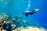 Diving Services India, best underwater diving company