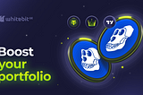 Elevate Your Trading with WhiteBIT’s “Boost Your Portfolio” Promo!