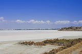 Larnaca Salt Lake