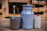 A half gallon steel pail, a gallon steel jug, and a plastic quart bottle on the ground at a dair farm