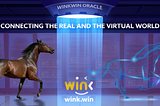 WINk Launches WinkWin