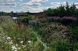 A Family Day Out at RHS Bridgewater: Calm, Colour and Accessibility