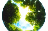 We Know Exactly What Consciousness Is — Don’t Let Anyone Tell You Otherwise
