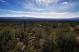 Photo by Wendi Zhang. Location: Tucson, Arizona, USA.