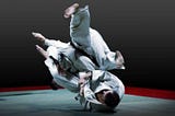 Lessons Learned from Twenty Years of Adults Martial Arts Classes