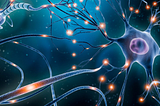 You Will Kill All Your Neurons, Unless You Stop Doing This 5 Things