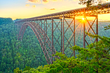 Steel bridge over a thickly forested valley