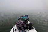 I dropped my phone in a lake a few days ago