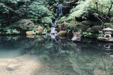 Serene image of a greenery, trees, a small water fall and a clear pond