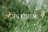 Geri Bildirim
