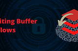 How to Exploit a Simple Stack-Based Buffer Overflow Vulnerability