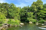 Bedtime on Pennington Creek