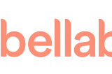 Google Data Analytics Capstone: Bellabeat Case Study using Excel and R
