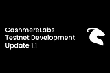 CashmereLabs Testnet Development Update 1.1