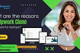 What are the reasons the Upwork clone is important for startups?