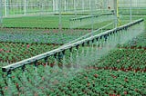 IoT Applications in Smart Agriculture