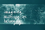 Introducing Imagining Multispecies Belonging: A Recipe Book