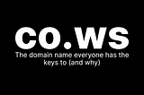 “co.ws: the domain name everyone has the keys to (and why)”