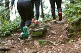 Exercise in Outdoor Greenery Has an Important Effect on MH and Brain