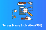 Enhancing Web Application Security and Diversity with Server Name Indication (SNI)