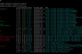 How should you pin your npm dependencies and why?