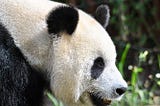 Pandas Cheat sheet — Part-1