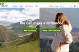 UX Case Study: Eco-Stylist Website Redesign