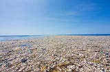 The Great Pacific Garbage Patch, https://www.10rivers1ocean.com/en/journal/great-pacific-garbage-patch/