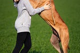 A woman is outside standing on green grass in her black leggings and grey long-sleeved sweatshirt. She’s hugging a huge dog that is standing on two legs. The dog hovers over the woman.