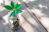 Empresas sustentáveis são menos lucrativas?