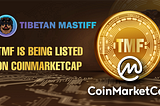 TMF is being listed on CoinMarketCap ️🎉