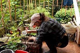 The Myth of Self-Sustainability: What I’m Growing to Cut My Grocery Costs