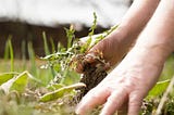 Mental health is just like pulling weeds.