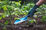 Fertilizers: The Love Of A Plant’s Life