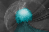 A tour of Recurrent Neural Networks